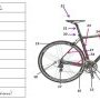 2019-CNER équipe-vélo1