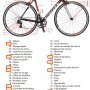 2021-CNER équipe-vélo1